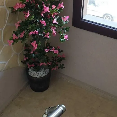 Guest house морската къща *